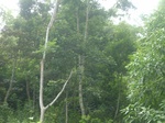 2012-09-08_18-24-01_RIMG0011.JPG
