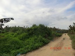 2012-09-26_20-50-09_CIMG1059.JPG