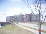 8684NWC2.JPG