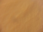 2012-09-21_14-26-37_CIMG3137.JPG