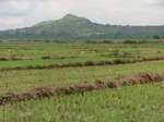 2012-09-07_10-03-45_CIMG6641.JPG