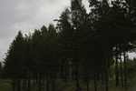 2018-04-14_13-28-53_2017-06-10 03.43.15.jpg
