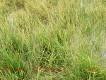 39116CIMG4834.gps.jpg