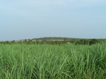 17555100_2816.JPG