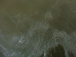 58098CIMG2392.JPG