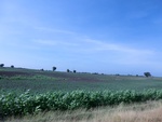 40848CIMG6834.JPG
