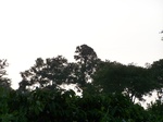 1707811052008(86).JPG