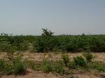 18988P1000832.JPG
