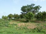 18871P1000713.JPG