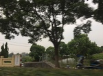 2017-09-12_10-29-32_9AFE1A1E-759E-48F4-AB98-BD0DA67F0F48.jpg