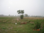 6317063a-rainfed-aggriculture-mixedcrop-groundnut-maize-large-area.jpg