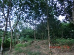 2012-09-26_20-48-20_CIMG1098.JPG