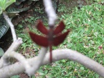 16584IMG_5371.JPG
