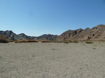 38050P1070834.JPG