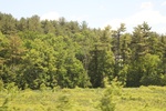 2022-06-12_15-03-11_FE8F6EBF-ED72-4D38-8B5B-0281524358BF.jpeg