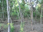 2012-09-21_16-12-36_CIMG3004.JPG