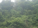 2012-09-08_19-26-16_RIMG0098.JPG