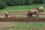 2012-09-28_22-29-17_Howell Farm-1.JPG