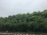 2017-09-10_20-39-12_8D77CA3A-E228-49F4-83F7-33EF7B2E68C7.jpg