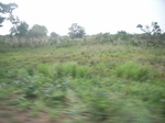 4072RIMG0377.JPG