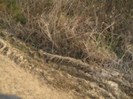 8476IMG_0301.JPG