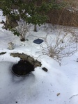 2017-02-24_11-52-29_Feb17-062-NJ.jpg