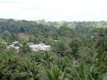 2012-08-31_10-24-46_CIMG0057.JPG