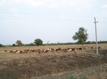 1782725042008(8).JPG