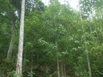 2012-09-08_18-23-37_RIMG0021.JPG