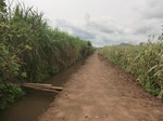 2012-09-07_10-20-08_CIMG6734.JPG