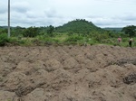 18598P1000435.JPG