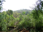 504820042008(91).JPG