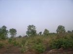 3831RIMG0135.JPG