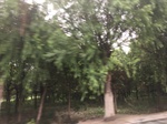 2017-09-10_06-58-03_0E055EA4-3682-4696-8597-D5B592C569E6.jpg