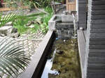 16383IMG_5167.JPG