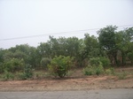 3900RIMG0204.JPG