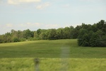 2022-06-11_15-55-39_4242CF12-9383-469D-B860-54DC233F3AD9.jpeg