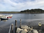 2018-09-09_16-54-08_23C5A8D4-A0D4-457B-AE6A-5804B852CE02.jpg