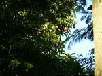 2012-10-17_20-32-21_380.JPG