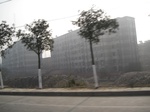 8406IMG_0229.JPG