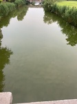 2020-06-13_04-31-41_2020-6-13-17-4-10.jpg