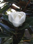 2012-09-07_20-22-44_MD-PG-49-2.JPG