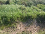 440120071010gps 052.jpg