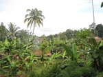 16197IMG_4956.JPG