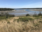 2018-09-05_12-24-43_4FDE2CC3-A205-4C7A-A67D-332BC85EE768.jpg