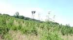 2016-07-25_03-45-00_DSCF1460.JPG