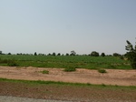 18975P1000819.JPG