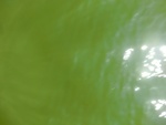 58147CIMG2482.JPG