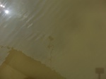 58489CIMG2939.JPG