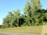 57991IMG_0954.JPG